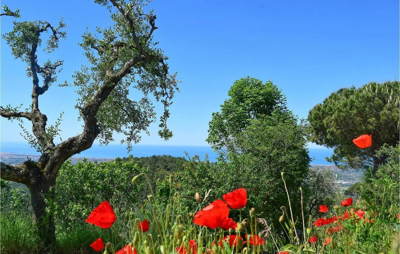 Awesome Home In Camaiore With Kitchen Italia